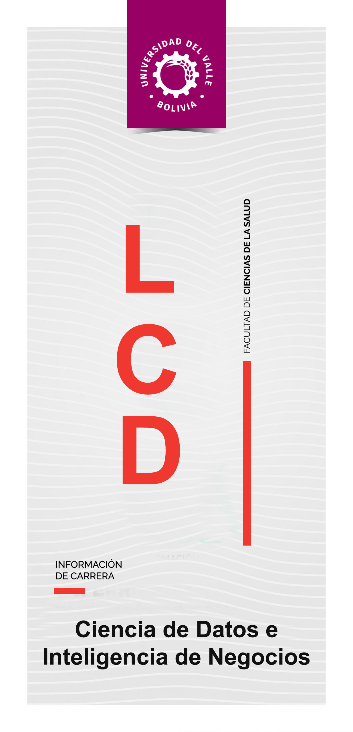 LCD caratula