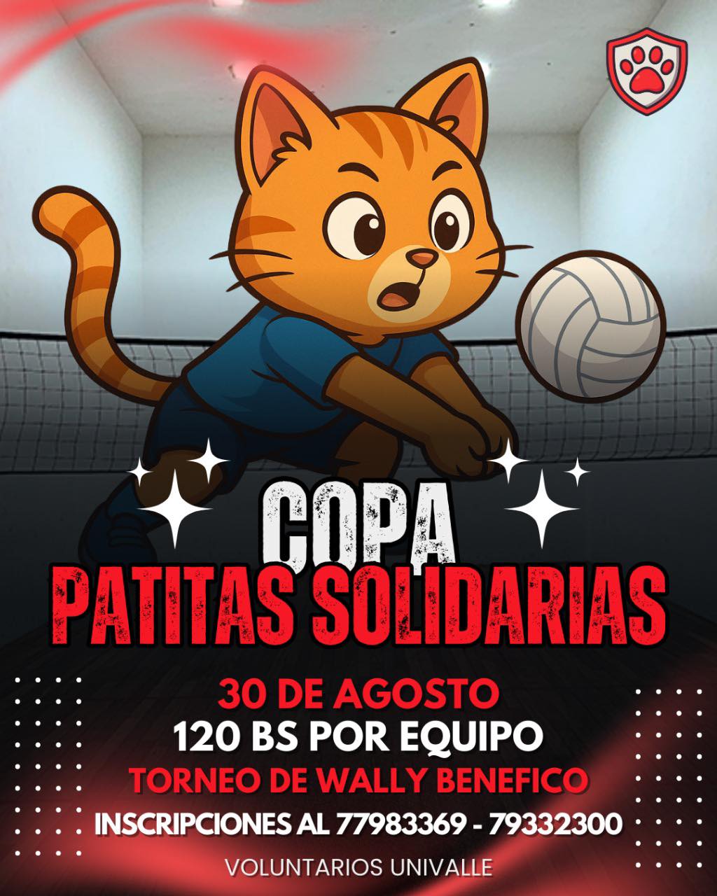 solidarias wally